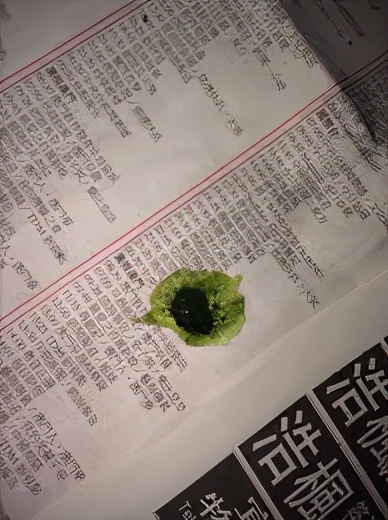 虎皮鹦鹉肝腹水,虎皮鹦鹉得肝病的症状