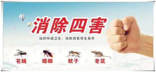 除四害,防疾病;勤消毒,抗疫情——记透堡中心小学除四害、抗疫情,防控进行时