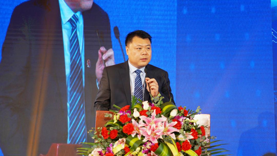 天津万达轮胎河北总代理,天津万达轮胎官方旗舰店