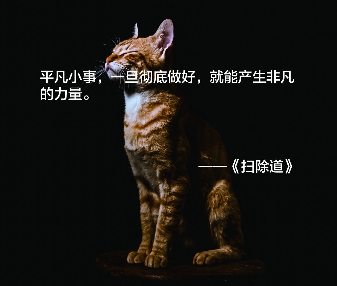 扫除道为什么可以让人发生变化,扫除道读后感不要给别人添麻烦