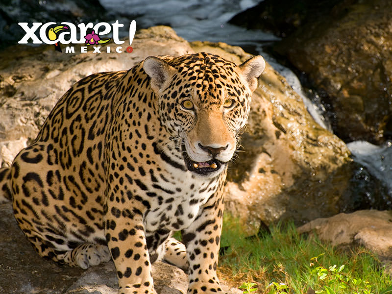 墨西哥坎昆亲子旅游攻略,坎昆旅游季