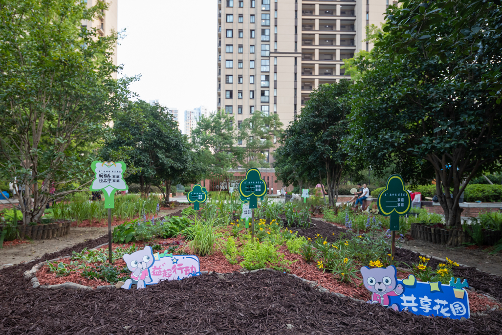 玛丽分享|香格里社区共享花园诞生记