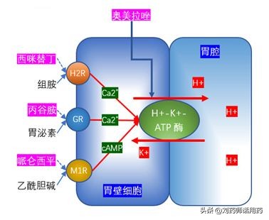 拉唑类的胃药的治疗原理,治疗胃病的拉唑类药品有哪些