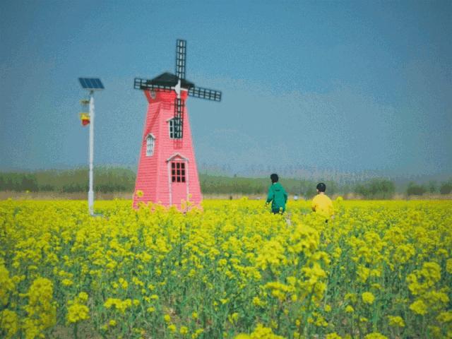 通城月牙湖公园游玩,通城月牙湖公园有人抢手机吗