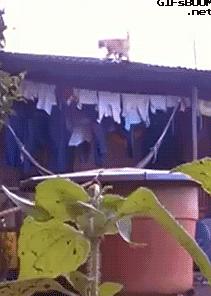 搞笑动图gif高清,搞笑动图gif微信表情包