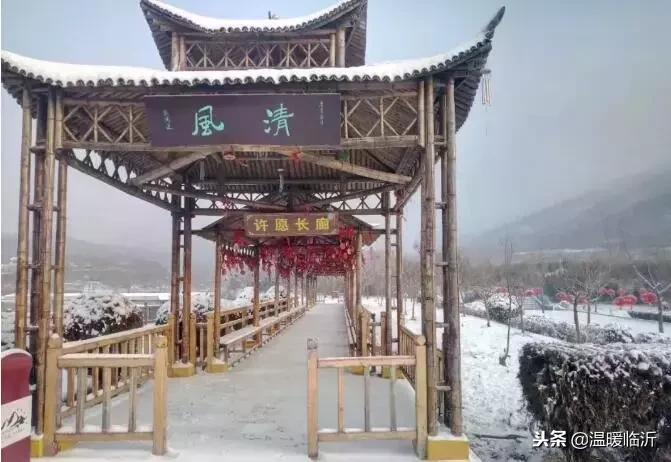 雪后的临沭小城，美得令人窒息