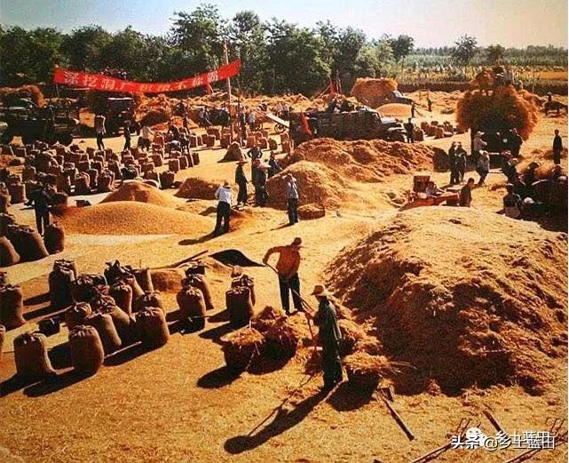 张选民作品,张选民最新演讲