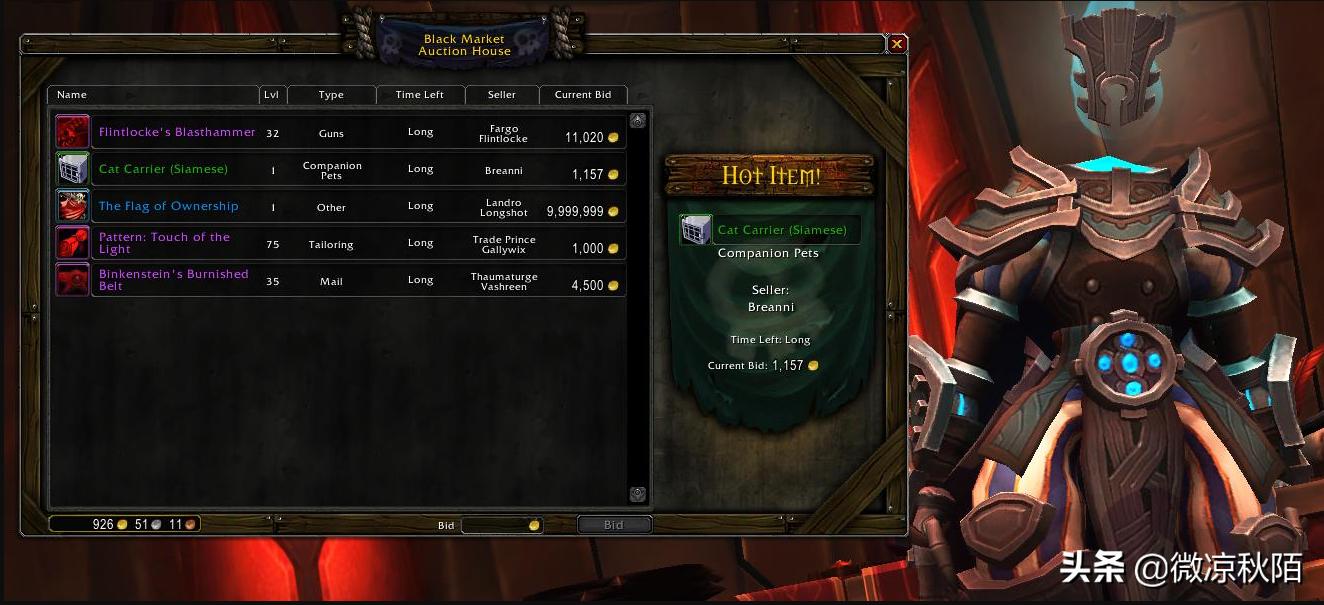 魔兽世界9.1团本坐骑黑色龙鹰,魔兽世界9.0纪律严明和狂热法咒