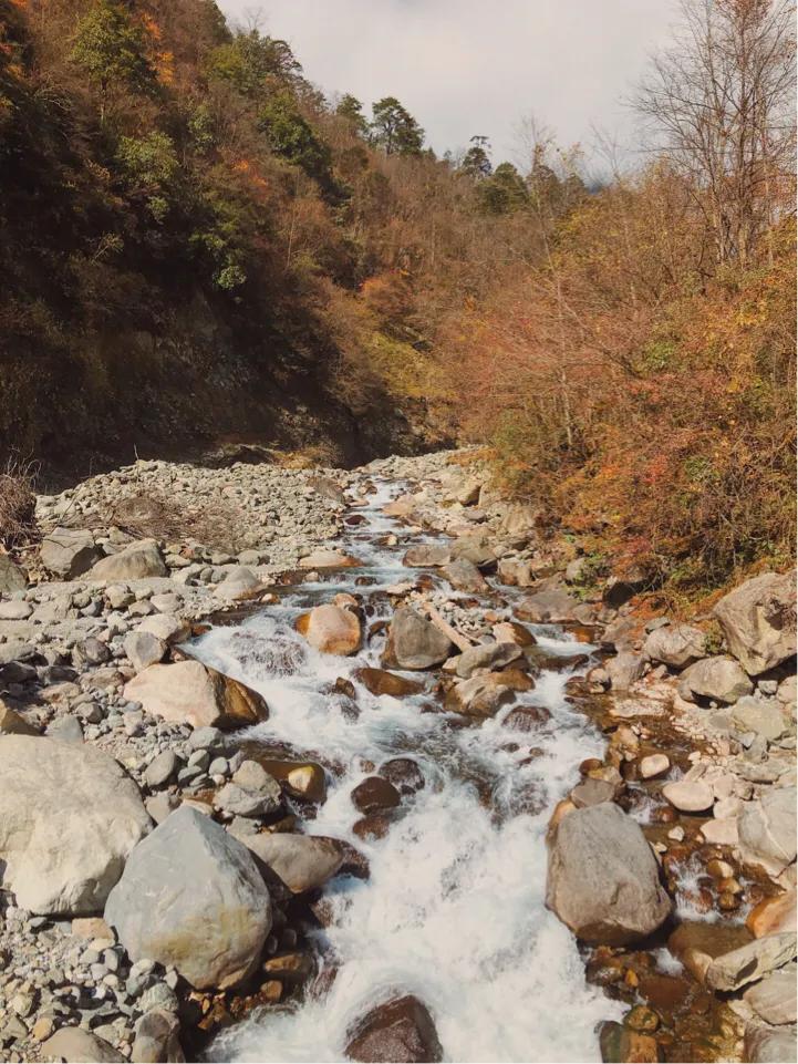 二郎山喇叭河旅游景区成都办事处,二郎山喇叭河风景区好玩儿吗