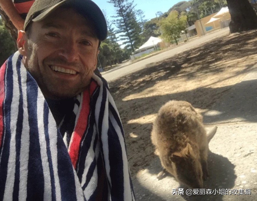 为什么我们会微笑?10个关于微笑袋鼠的萌萌秘密