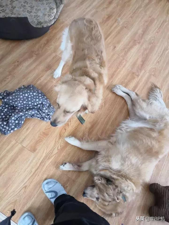 2018无法超越的境地,微信消息无法撤回