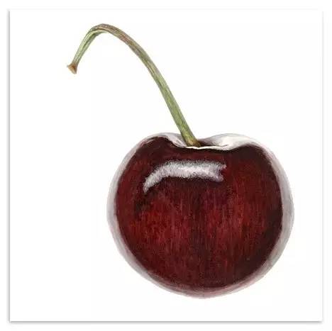 超写实绘画真实吗,超写实的植物绘画