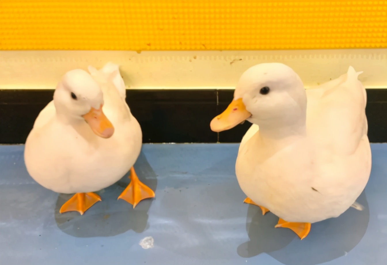 宝藏专业志愿填报,高考填报志愿不可错过的宝藏学校