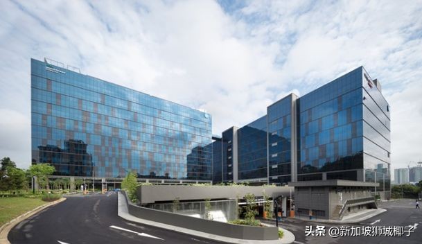 新加坡实体店倒闭名单,新加坡实体店倒闭了多少