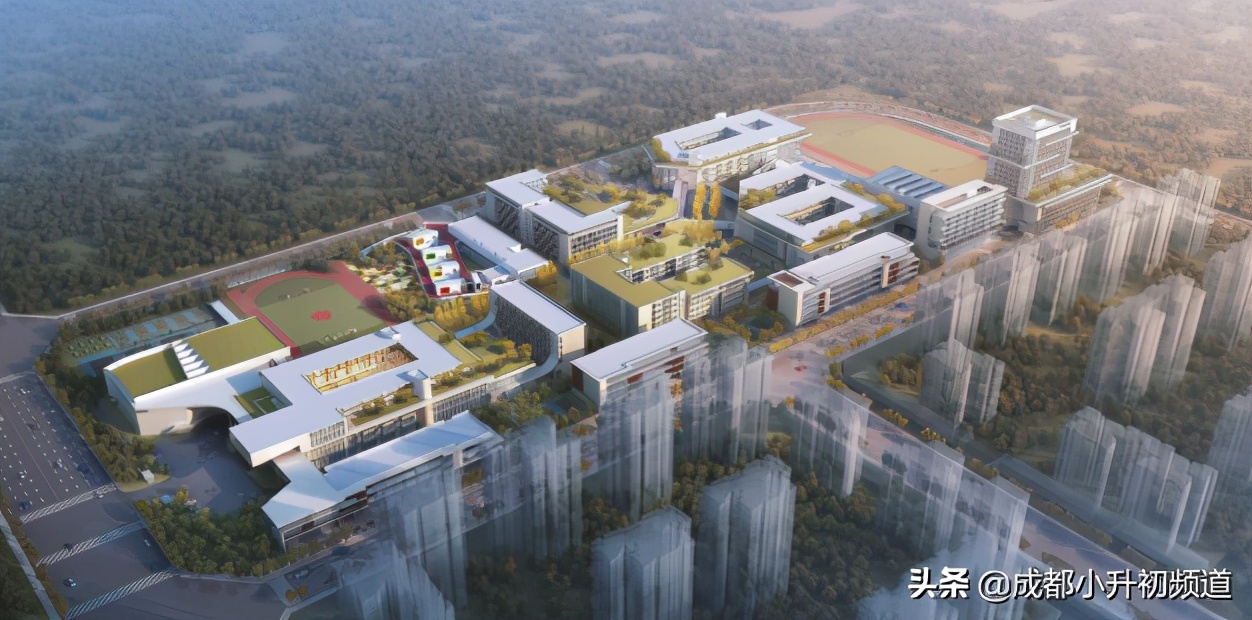 公办初中含金量,新的公办初中到底好不好