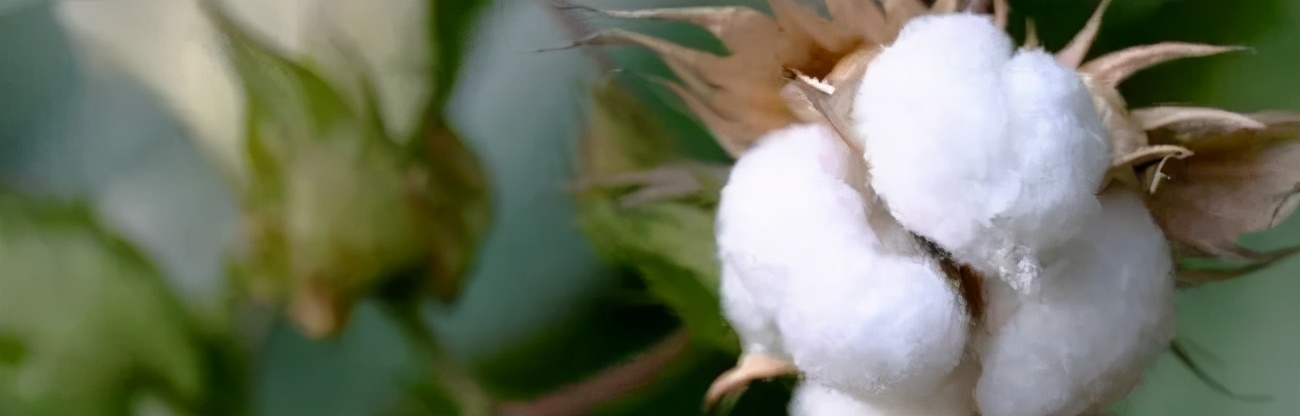 韩系斜纹棉四件套100%全棉,全棉四件套180支长绒棉秒杀价