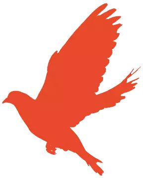 重磅!*共中**中央印发3部*党**内重要法规(附全文)