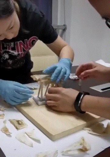 新人如何做抖音传播正能量,传播抖音新知识