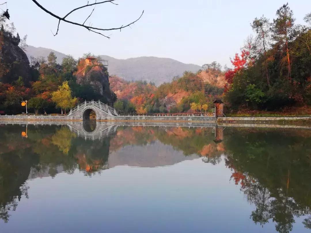 金家湾生态露营公园在哪里,金家湾风景区露营