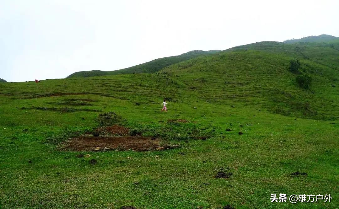 广东最美草原,藏在广东的八大草原