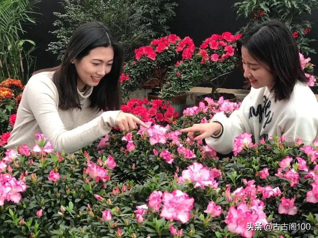 与兰亭对应的书法圣地,兰亭书法纪念馆