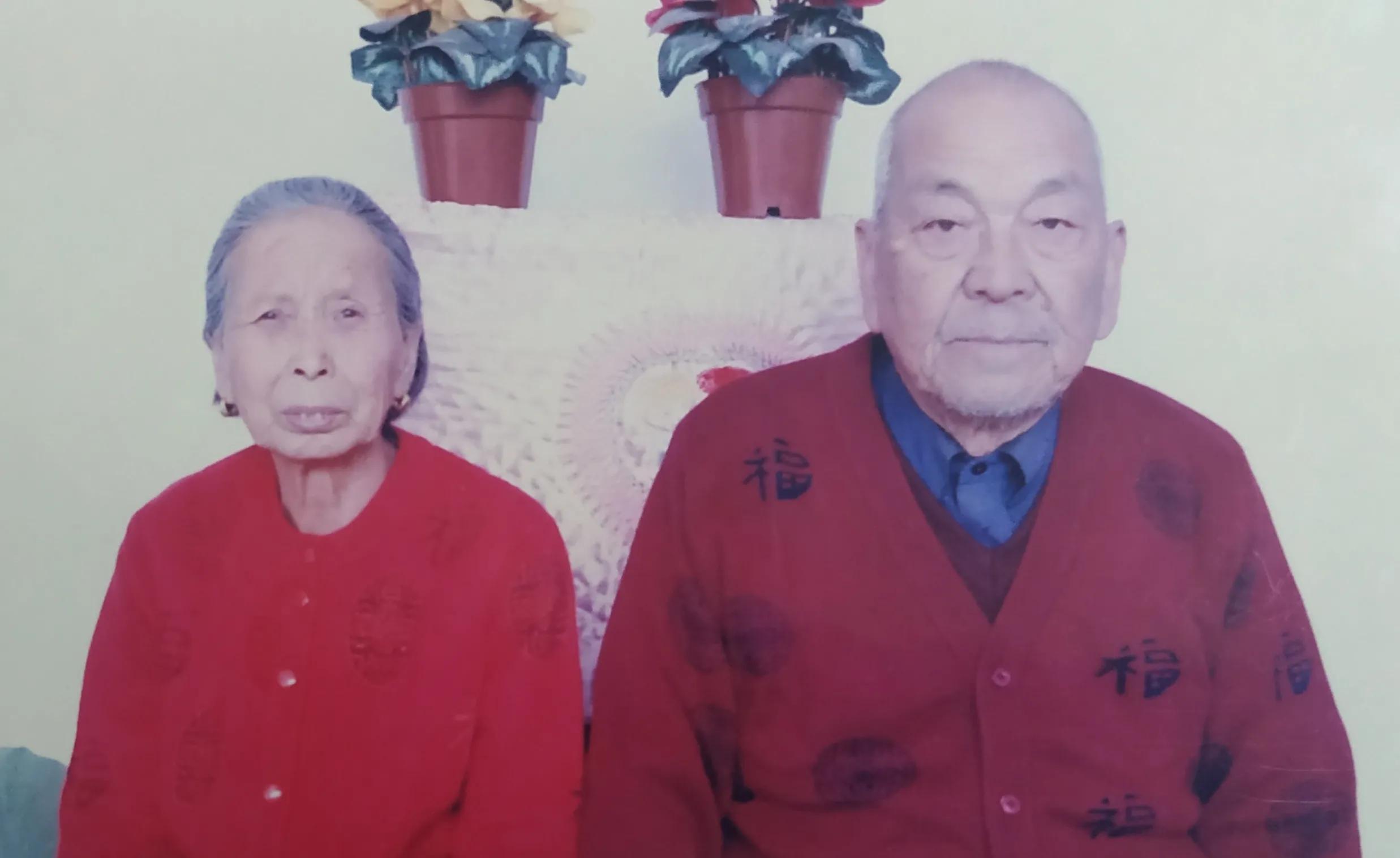 谁言寸草心,报得三春晖-----追忆我的父亲母亲