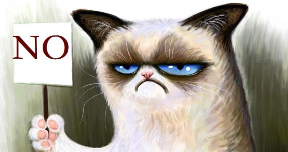 猫没有狗聪明是什么原因,猫聪明还是狗聪明智商排名