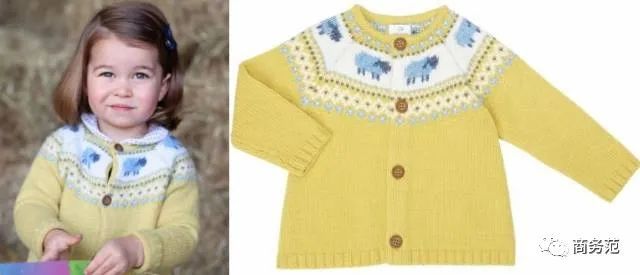 凯特威廉粉色大衣,凯特威廉同款衣服