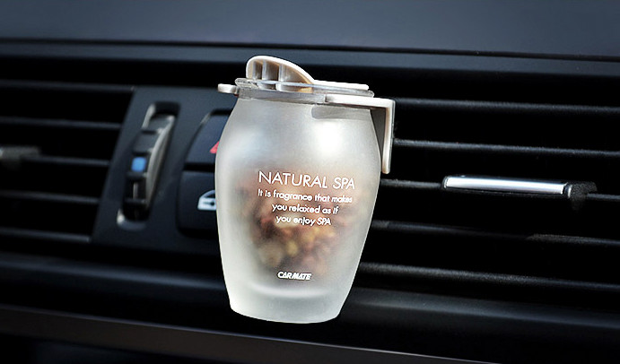 汽车中毒是怎么回事,汽车中毒什么意思