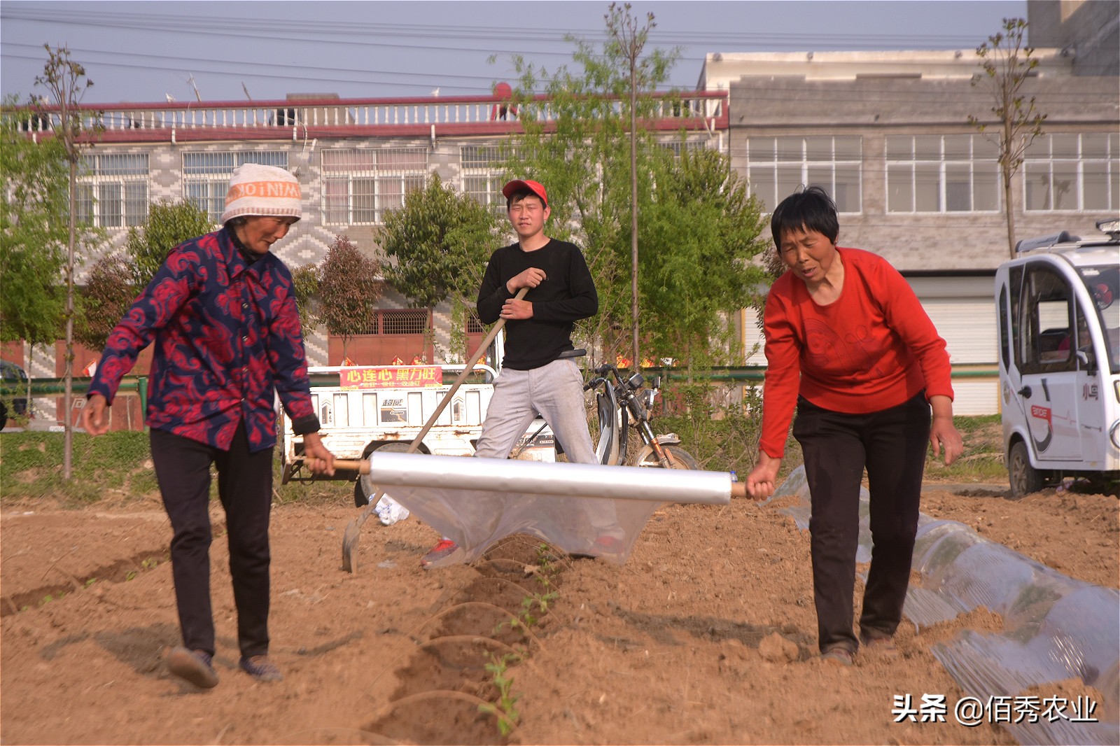 承包150亩良田种什么最赚钱,农资种植怎么赚钱