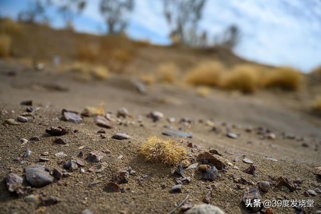 入手尼康z7半年的使用感受怎么样,尼康z7ii专业摄影师实际使用感受