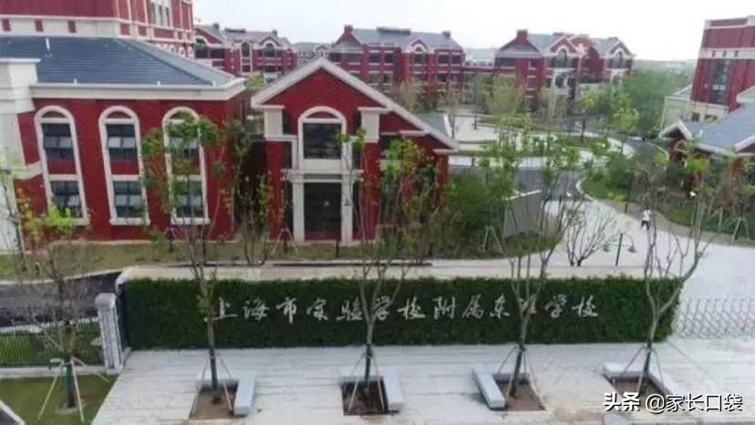 逆袭上海这10所小学被名校托管,上海7所小学强势逆袭