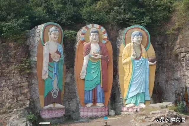 合肥各个区pk郑州,合肥是全国最漂亮的城市吗