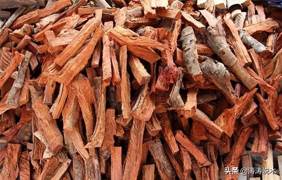 农村常见的木质坚硬的树有哪些,农村常见的一种结黄色果实的树