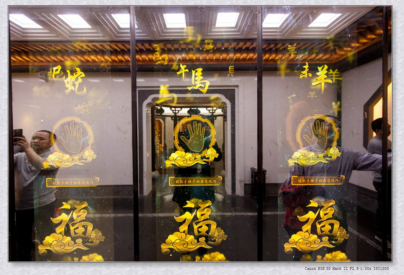 常州旅游东方盐湖城,骆驼之旅视频