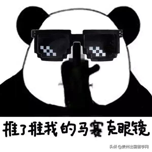 刚出国的时候有哪些笑话,出国时的真实笑话