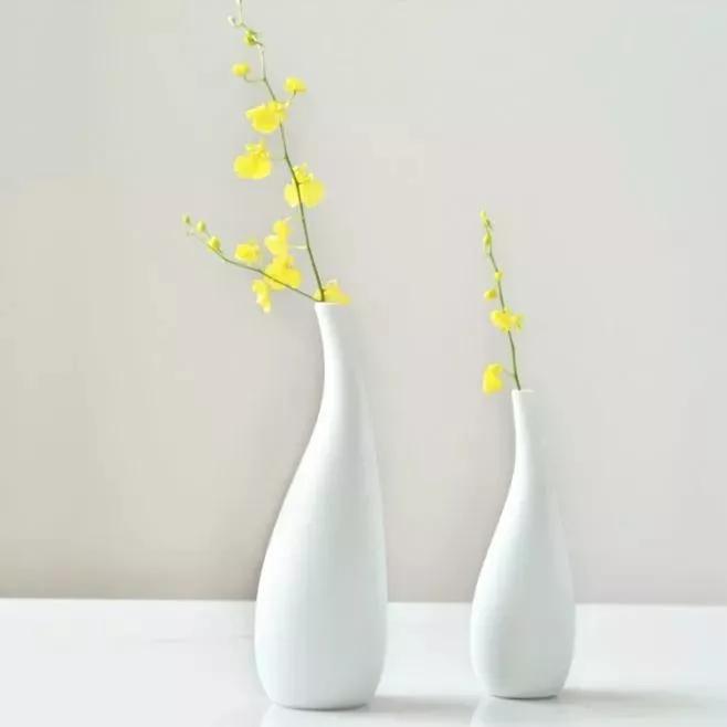 巜以苏轼之名，品味宋代极致美学》——王伟书法之十五