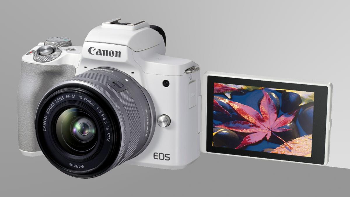 2020年摄影爱好者该买什么相机,新手入门最实用性价比最高的相机