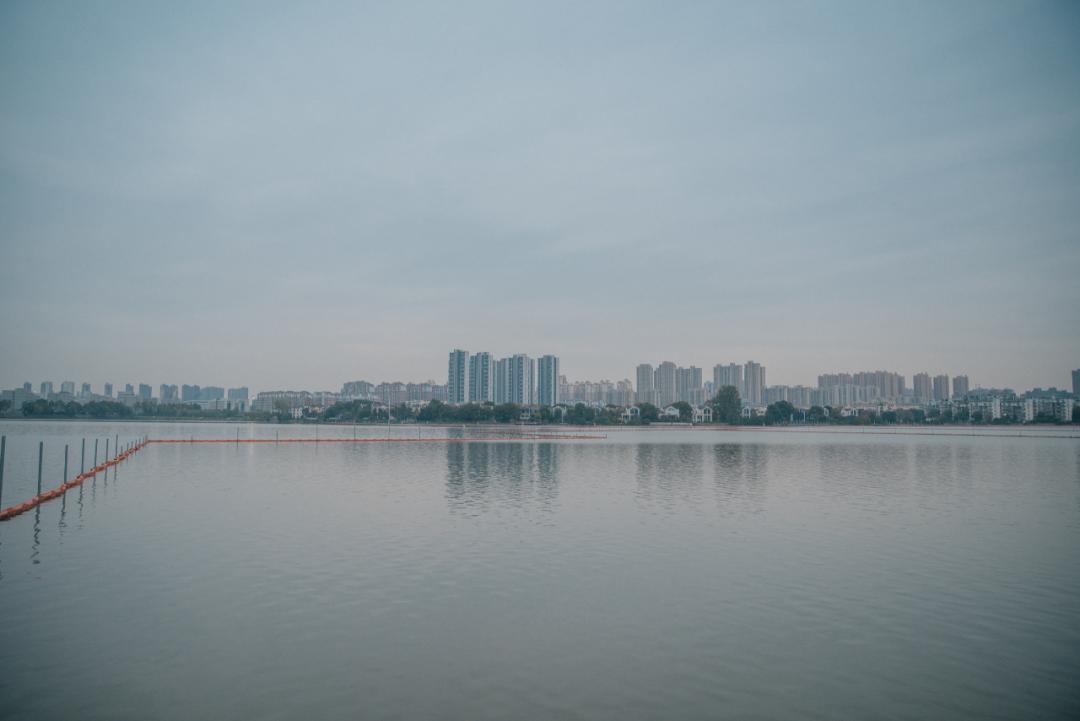 又是全国第一！华中农业大学，全体武汉人的骄傲