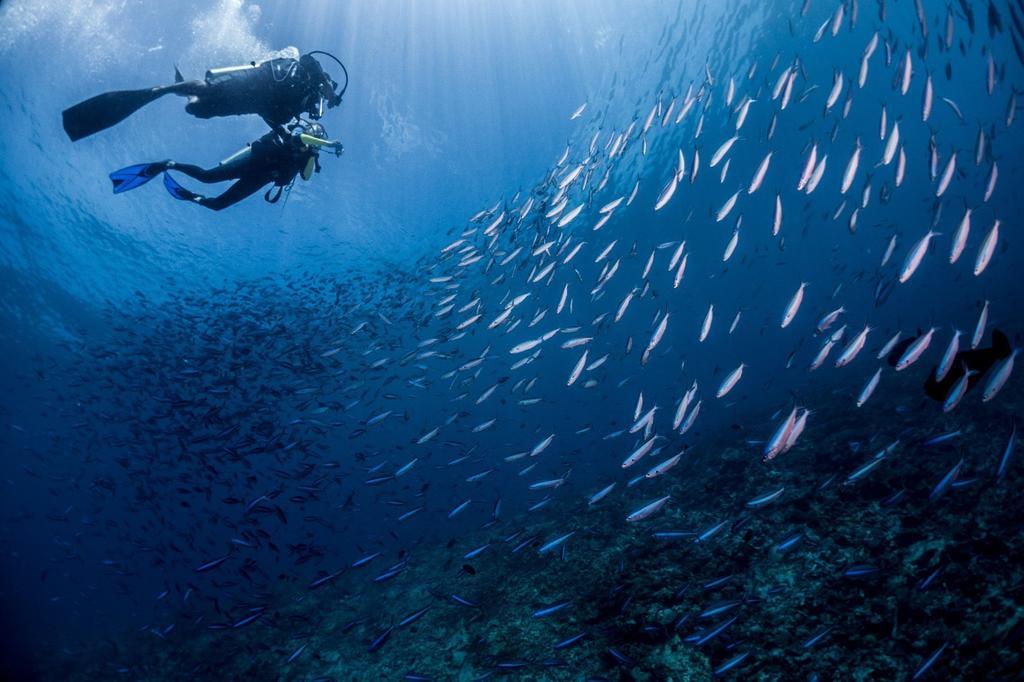 马尔代夫美居岛官网,马尔代夫美景攻略