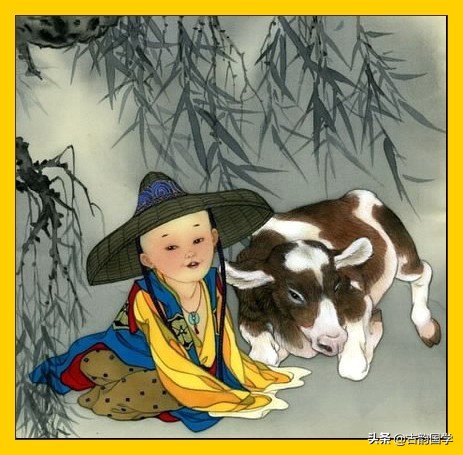 十二属相的性格和脾气对照表,十二生肖性格分析书单