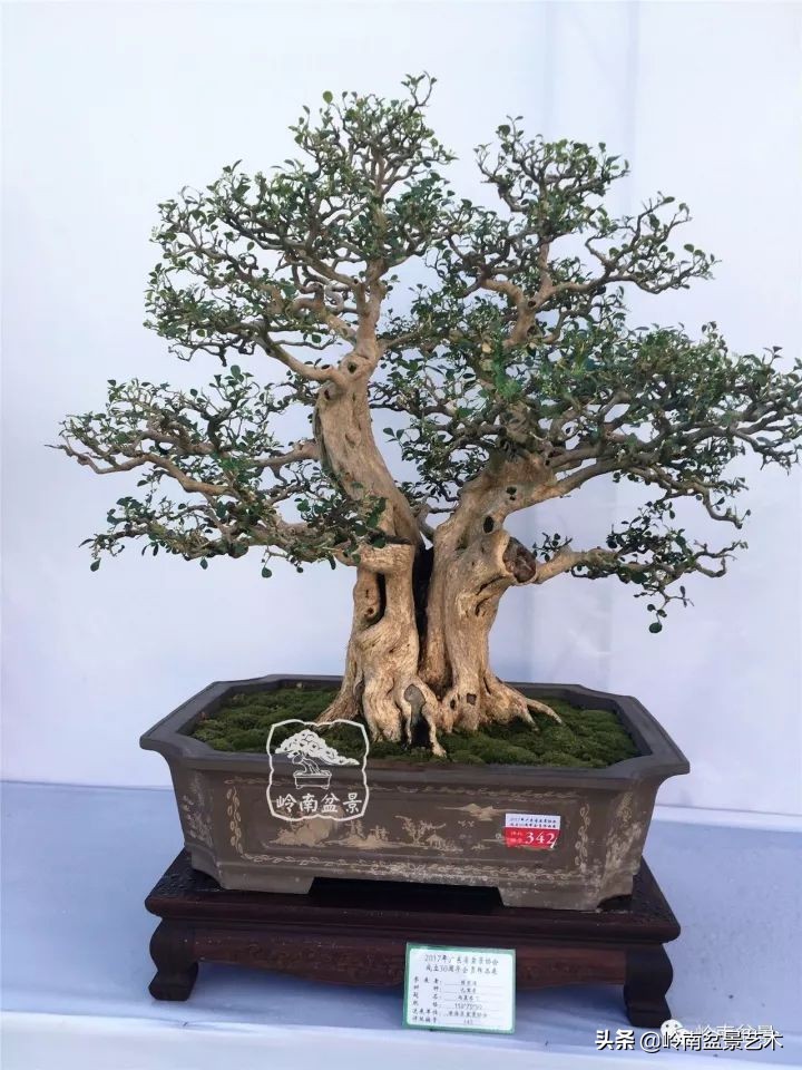 骞哥涔呬箙鐢滅敎铚滆湝,骞哥涔呬箙