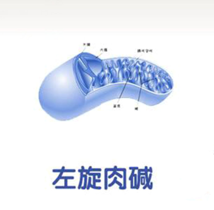 左旋肉碱怎么吃减肥效果最好,左旋肉碱能让减肥效率提高多少