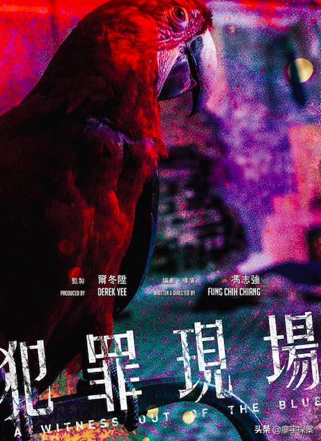 名侦探鹦鹉,名侦探鹦鹉破案