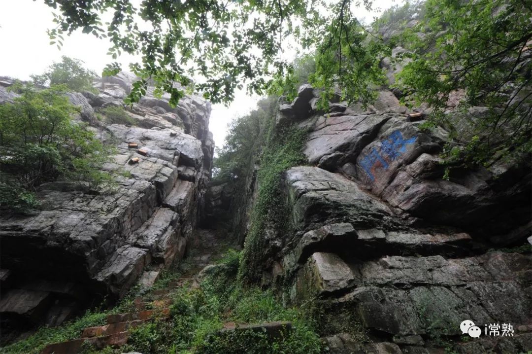 常熟人靠什么生活,常熟人的素质与特点