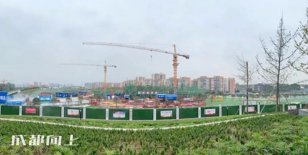 大运村建设火热朝天，成都大学已经上天