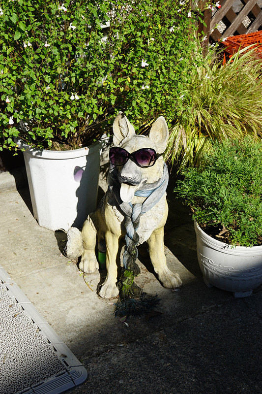 五天四夜日本邮轮游,名古屋四日自由行攻略