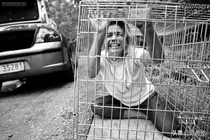 当治病钱有限的时候该怎么办,为什么宠物治疗费用这么高