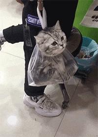 回家的路上看到这么多钱,背包都装不下啊,现在该怎么办