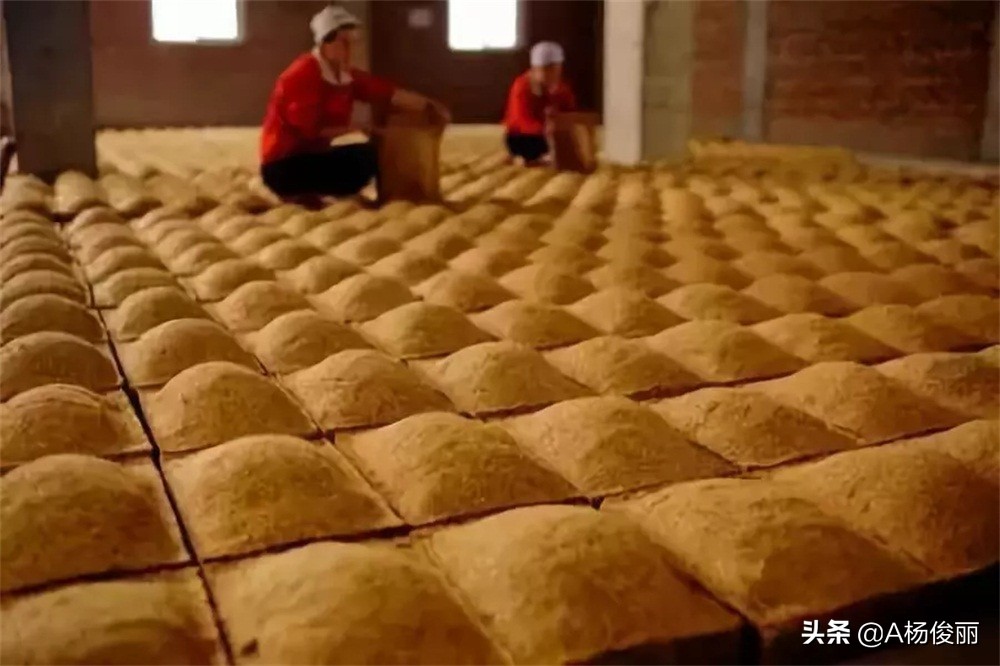 真全粮杨俊丽：什么是酒曲？在酿酒过程中是否能过量采用酒曲？